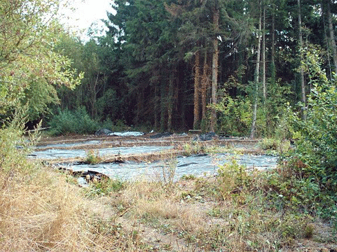 Les fouilles en 2003