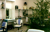 vue du salon