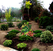 vue de plantations