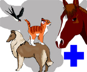 chien chat oiseau cheval